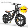20 Zoll ENGWE Elektrofahrrad 250W 52V 15.6AH Mountainbike offroad 45kmh E-Bike