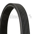 CONTINENTAL CTAM Keilrippenriemen für AUDI FORD SEAT SKODA VW