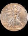 1 Dollar 1992"American Silver Eagle"Bullion Coin 1oz Silber 0.999 ,31g In SS #20