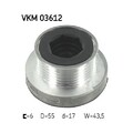 1x Generatorfreilauf SKF VKM 03612 passend für AUDI RENAULT SEAT SKODA VW