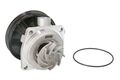 THERMOTEC D1F065TT Water Pump for FIAT