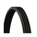 1x Keilrippenriemen CONTINENTAL CTAM 4PK706 passend für FIAT LANCIA SUZUKI