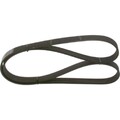 Bosch 1 987 947 979 Keilrippenriemen für FORD AUDI TOYOTA SKODA CITROEN PEUGEOT