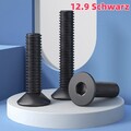 Senkkopfschrauben DIN 7991 M2 M3 M4 M5 M6 M8 M10 M12 Innensechskant 12.9 Schwarz