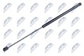 NTY AE-SE-020 Gasfeder Motorhaubendämpfer für VW SHARAN (7N1, 7N2) 554mm 295N