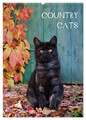 COUNTRY CATS (Wandkalender 2025 DIN A2 hoch), CALVENDO Monatskalender Menden