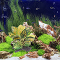  Künstliche Wasserpflanzen Aquarium Gefälschte Fischtankdekoration