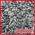 Sonnenblumenkerne schwarz 5 Kg Vogelfutter