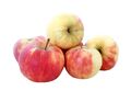 Äpfel Elstar vom Bodensee fein-säuerlicher Apfel 