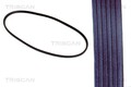 TRISCAN Keilriemen 8640 110528 für AUDI VW A4 PASSAT A6 3B2 3B5 B5 Variant Avant