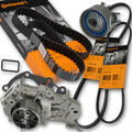 CONTI Zahnriemen + Spannrolle + Wasserpumpe AM + Keil. Renault Clio 2...1,2 16V