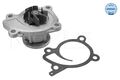 MEYLE Wasserpumpe 36-13 220 0013 für DACIA MERCEDES-BENZ  passend für NISSAN