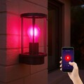 Fassadenleuchte Wandlampe Außenleuchte Smart RGB LED App CCT Edelstahl Rauchglas