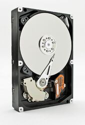 Western Digital Caviar Green 1 TB 3.5 Zoll SATA-II 3Gb/s WD10EAVS HDD   #5865