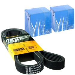 CONTINENTAL CTAM 6DPK1195 Keilrippenriemensatz + Generatorfreilauf für VW AUDI