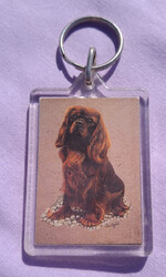 Cavalier King Charles Spaniel doppelseitiger Schlüsselanhänger Schlüsselanhängsel #1