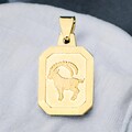 Anhänger Sternzeichen Steinbock 333 Gold Gelbgold matt Sternzeichenanhänger