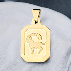 Anhänger Sternzeichen Steinbock 333 Gold Gelbgold matt Sternzeichenanhänger