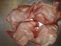 4 Kaninchen Schulter 1,0-1,2 kg Nur 19€ sehr saftig und lecker Ideal zum Grillen