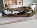 Krokodil Schädel Knochen XXL Aquarium Dekoration Einrichtung Höhle 47,5 cm Deko