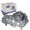 DOLZ WASSERPUMPE passend für DACIA LOGAN SANDERO NISSAN KUBISTAR RENAULT CLIO KA