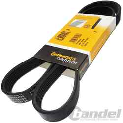 CONTINENTAL KEILRIPPENRIEMEN 6PK1029ELAST passend für FORD B-MAX FIESTA MONDEO