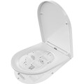 Toilettendeckel, WC Sitz, Absenkautomatik, Duroplast, antibakteriell, Quick-R...