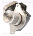 AGR Ventil TRISCAN 8813 23021 für MERCEDES KLASSE Model S203 W211 CL203 CLK C209