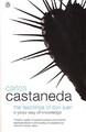 Die Lehren von Don Juan: Ein Yaqui-Weg der Erkenntnis - Castaneda, Carlos