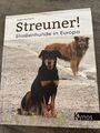 Streuner! Strassenhunde in Europa