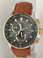 Citizen Herren Eco Drive Chrono AT Alarm R.Controlled Bicolor Braun Armband Uhr