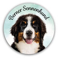 Berner Sennenhund Aufkleber - Autoaufkleber - Sticker | Motiv: 004
