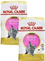 (€ 14,99/kg) Royal Canin Kitten British Shorthair BSH Kätzchen (2 x 2 kg) = 4 kg