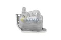 VEMO V20-60-0031 Ölkühler Motoröl für BMW 3 Touring (E91) 3 Limousine (E90)