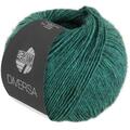 Wolle Kreativ! Lana Grossa - Diversa Fb. 18 opalgrün 50 g