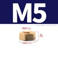 Sechskantmuttern Messing DIN 934 M1.4 M1.6 M2 M2.5 M3 M4 M5 M6 M8 - M22 Muttern