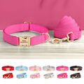 Personalisiertes Hundehalsband Leine Nylon & Leder mit Namen Gravur Verstellbar 