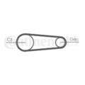 CONTINENTAL CTAM Keilrippenriemen Spannrolle Umlenkrolle 6PK842 ELAST T1