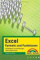 Excel Formeln und Funktionen: 400 Beispiele, mit Praxisl... | Buch | Zustand gut