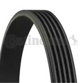 ORIGINAL® Continental Ctam 5PK1800 Keilrippenriemen für Kia RIO II CERATO I
