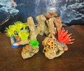 Nobby künstliche Koralle 11x7x8,5cm Korallenriff Meerwasser Aquarium Ornament