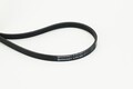 Keilrippenriemen Rippenriemen für Fiat Opel Continental Ctam 4Pk800 1995 ->