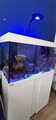 EHEIM Viva 126l Meerwasseraquarium komplett Umbau HYDRA 16 HD Anfänger 