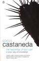 Die Lehren von Don Juan: Ein Yaqui-Weg der Erkenntnis von Carlos Castaneda NEU