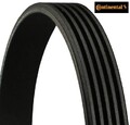 Continental CTAM 5PK725 Keilrippenriemen Keilriemen für Citroen für Peugeot 