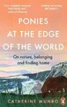 The Ponies At The Edge Of The World: A story of hope and belonging in Shetland