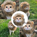 Haustiere Hut Katze Perücke Löwe Mähne Kostüm Cosplay Kätzchen Hund Hut mit