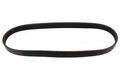 Keilrippenriemen MAPCO 260842E für PASSAT SKODA 1K1 AUDI CADDY 1T3 8P1 TOURAN A3