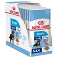 9003579008447 Royal Canin Maxi Puppy 10x140g Royal Canin