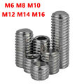 M6 M8 M10 M12 M14 Feingewinde Madenschrauben DIN 913 Gewindestifte Edelstahl V2A